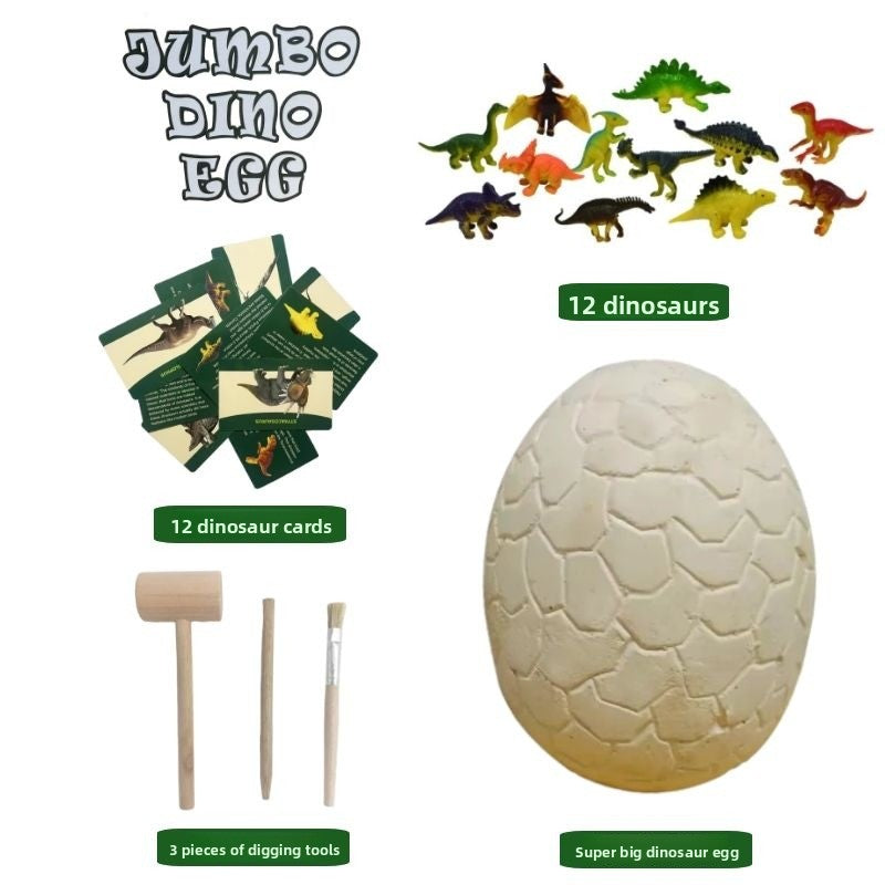 Educational Toy Set