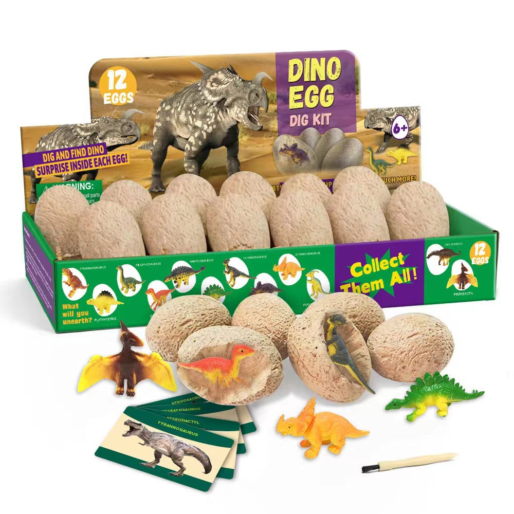 Educational Toy Set