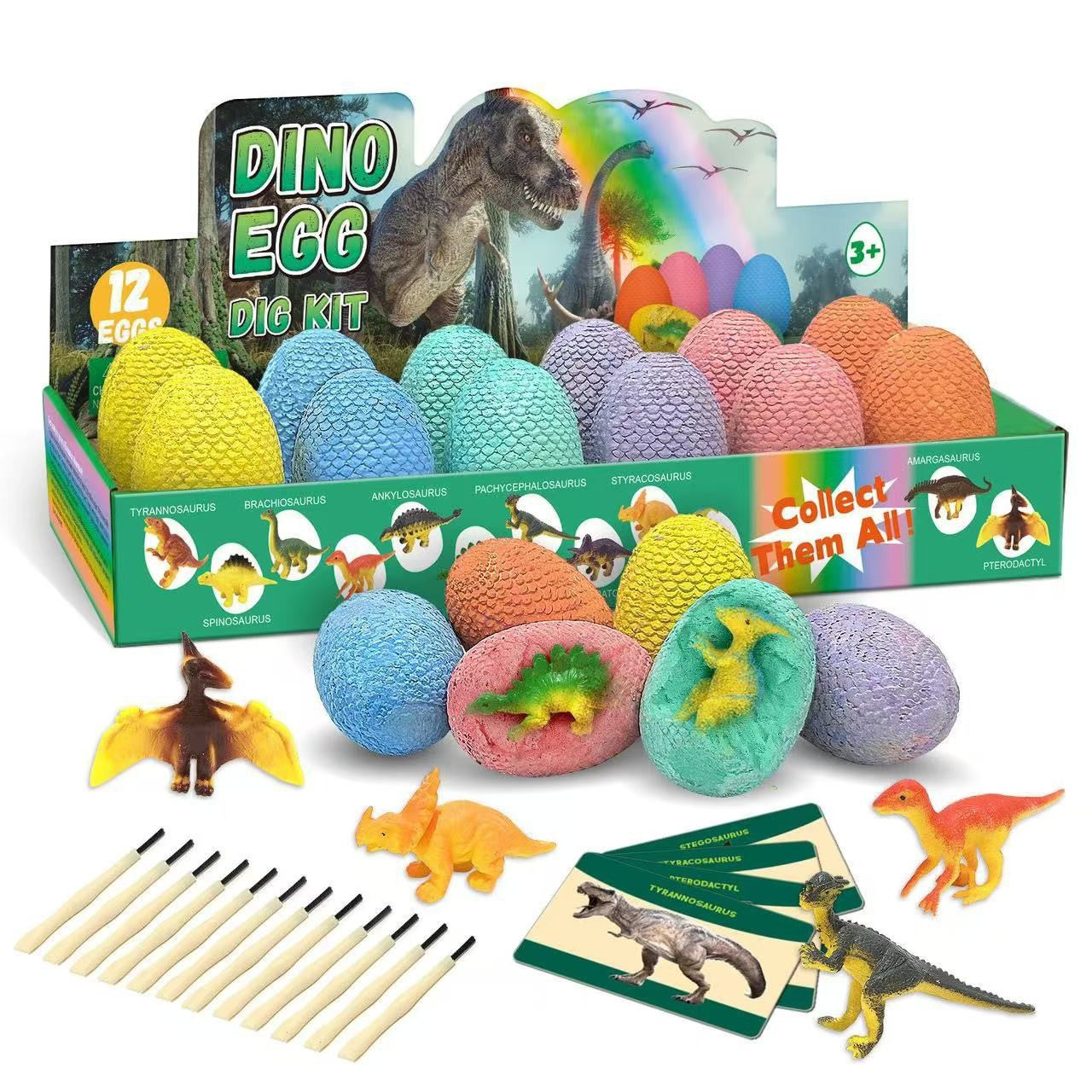 Educational Toy Set