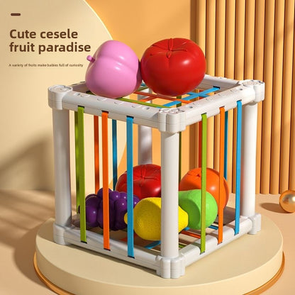 Educational Toy Set