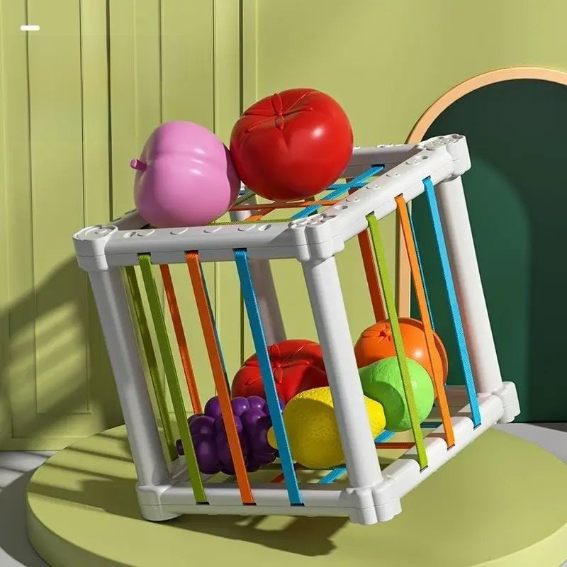 Educational Toy Set