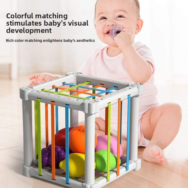 Educational Toy Set
