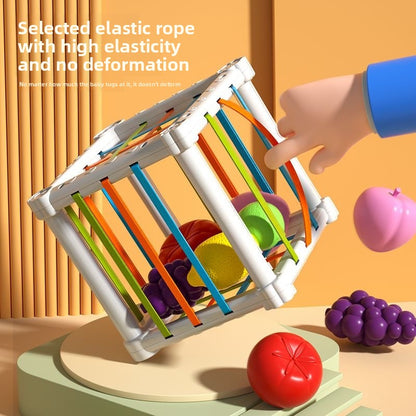 Educational Toy Set