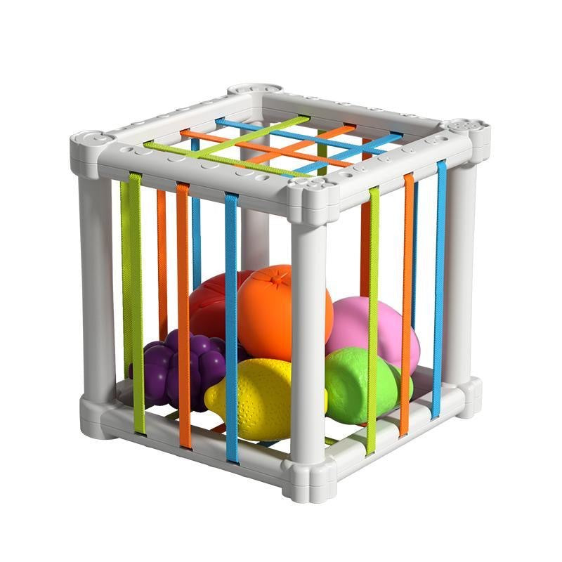 Educational Toy Set