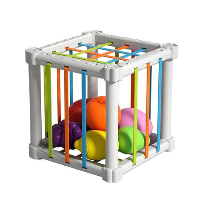 Educational Toy Set