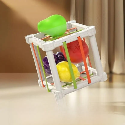 Educational Toy Set