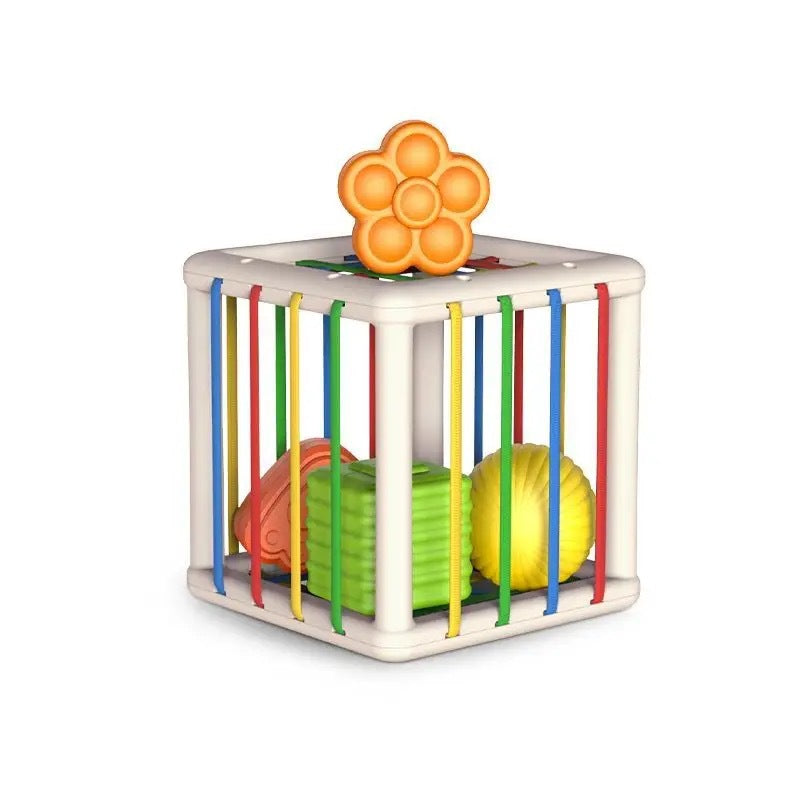 Educational Toy Set