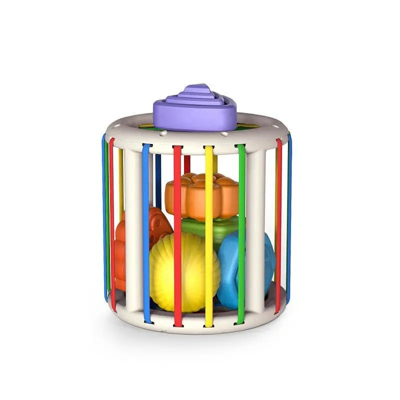 Educational Toy Set