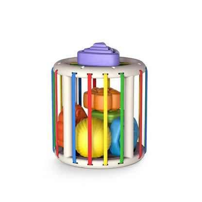 Educational Toy Set