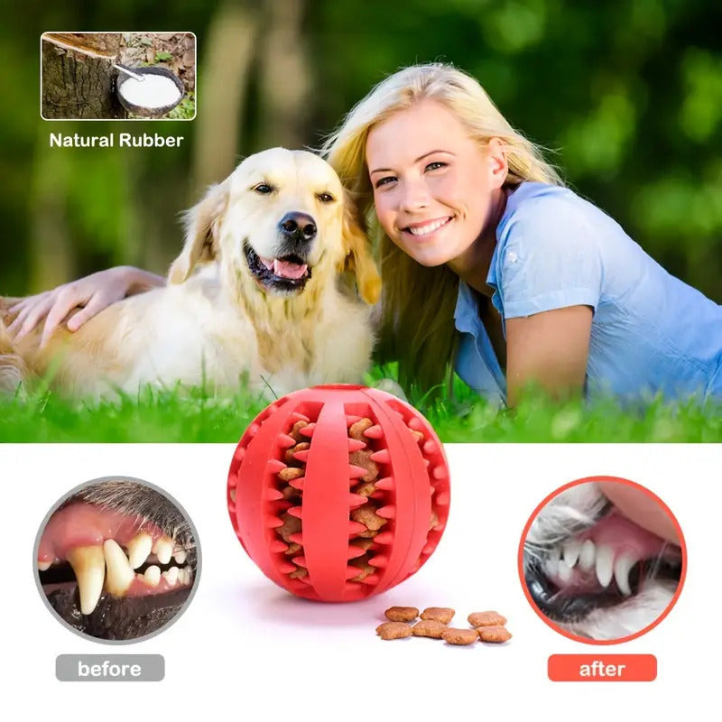 Elastic Dental Chew Ball for Dogs