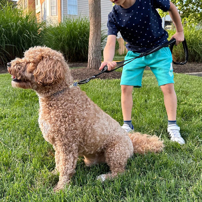 Elastic Dog Leash for Medium Large Pets