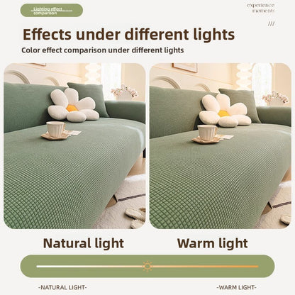 Elastic Sofa Cover Anti Scratch Universal Dust Proof