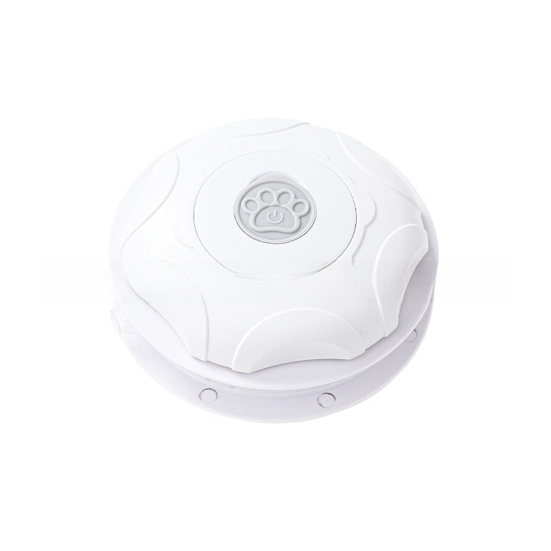 Electric Cat Play Cover