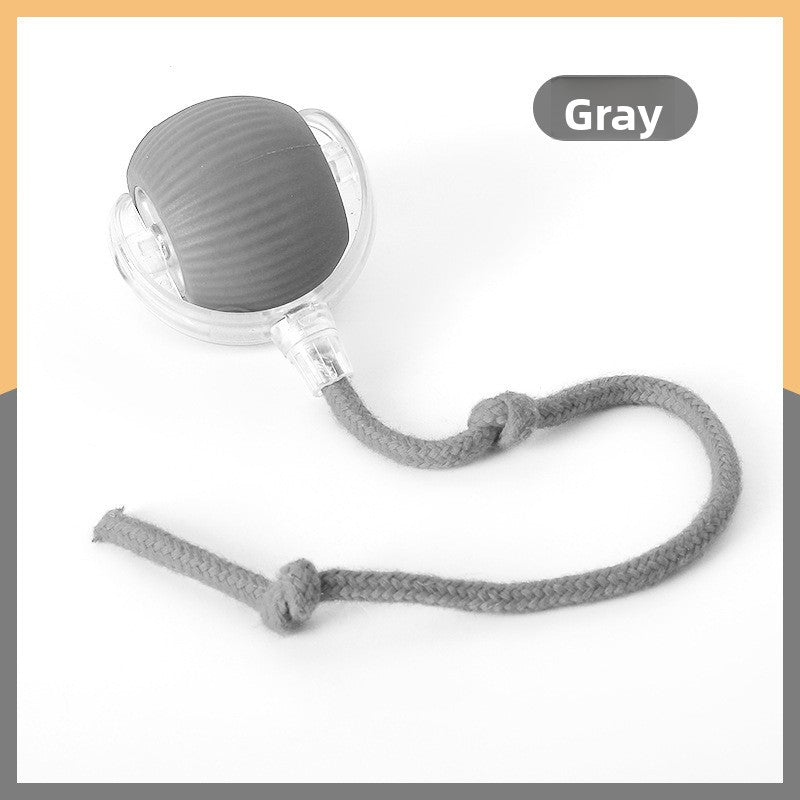 Electric cat toy