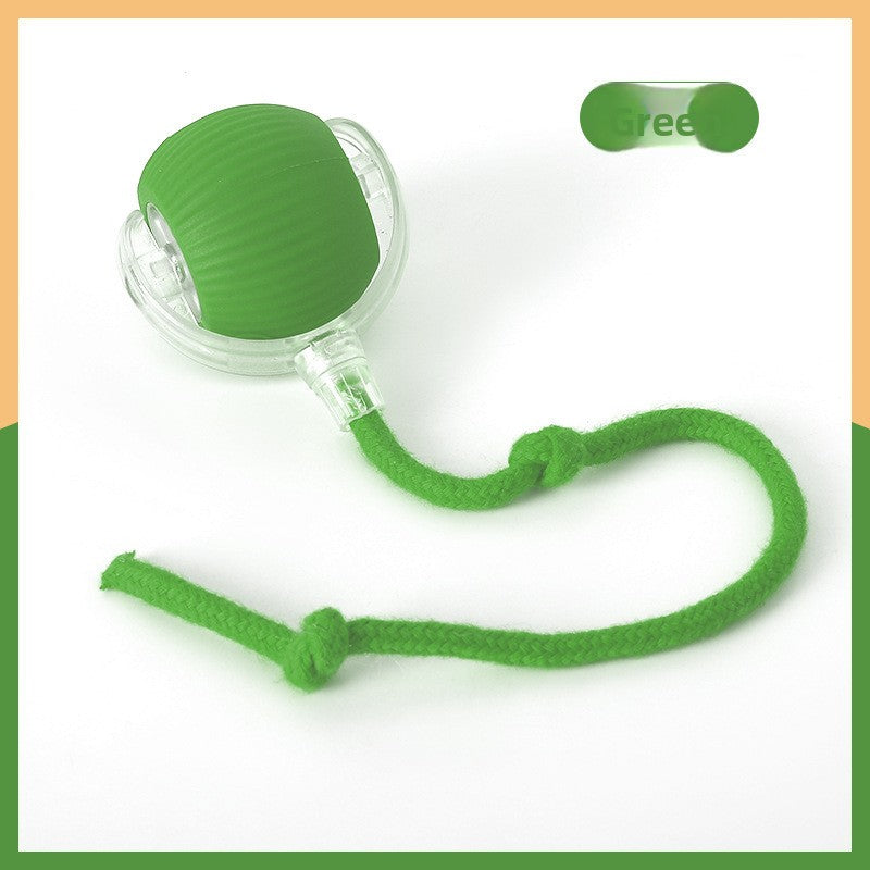 Electric cat toy