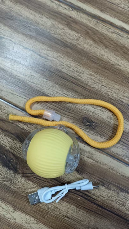 Electric cat toy