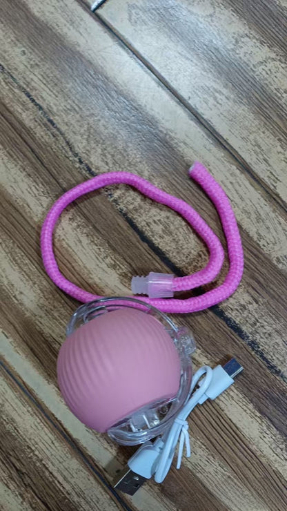 Electric cat toy