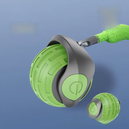 Electric cat toy