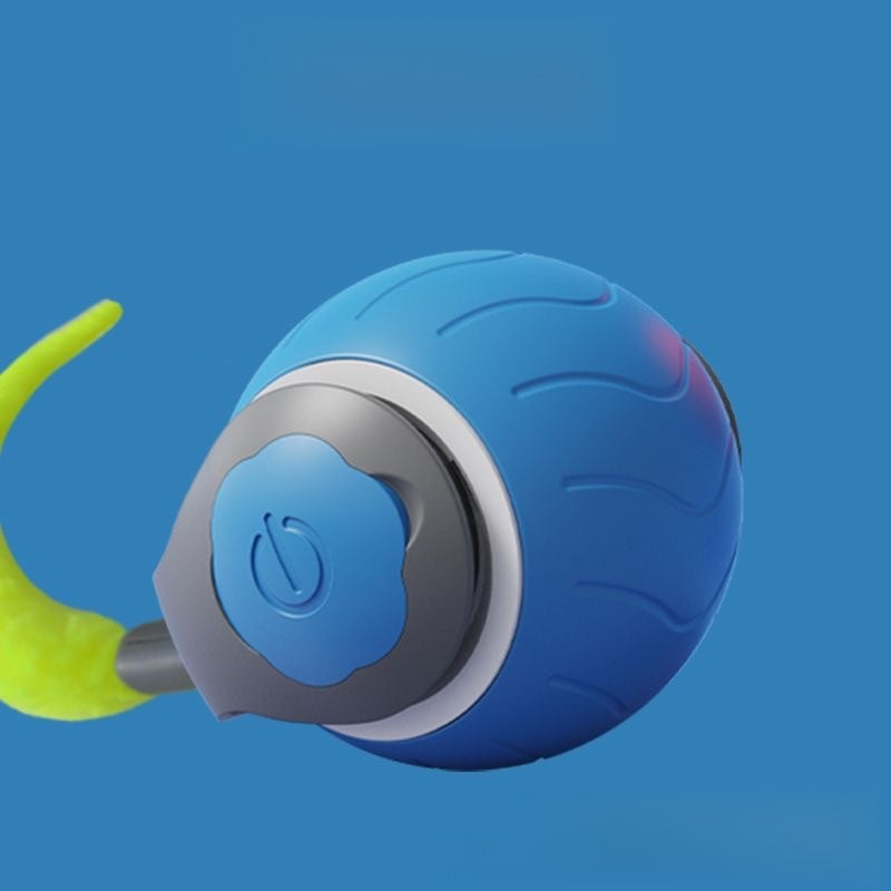 Electric cat toy