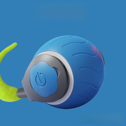 Electric cat toy