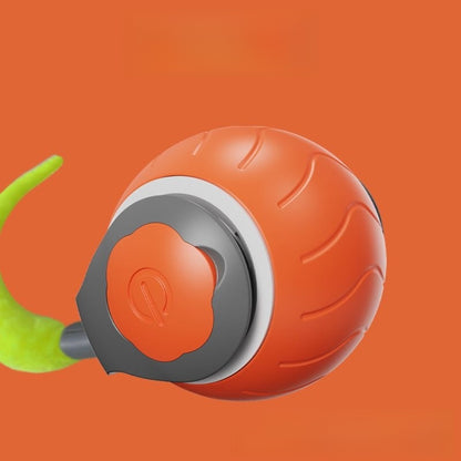 Electric cat toy