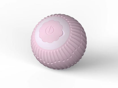 Electric cat toy
