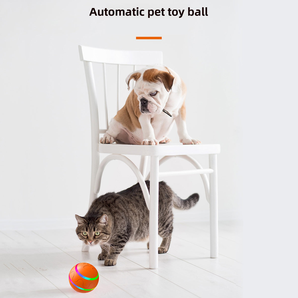 Electric cat toy
