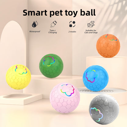 Electric cat toy
