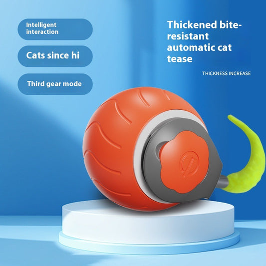 Electric cat toy