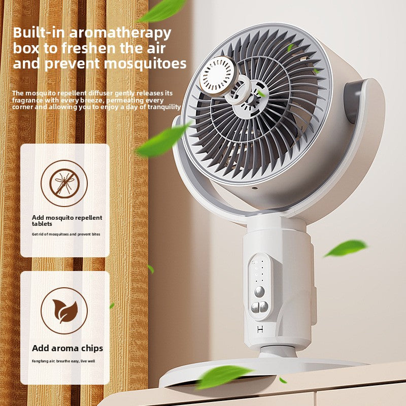 Electric Circulation Fan