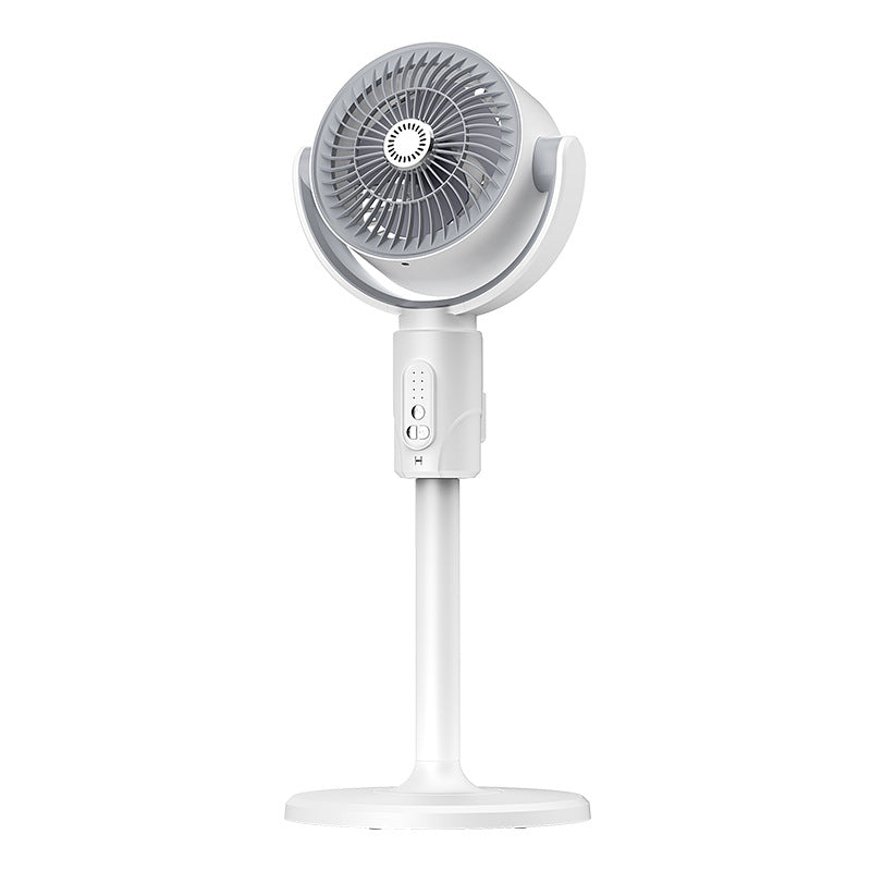Electric Circulation Fan