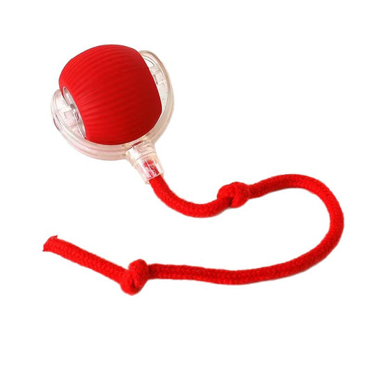 Electric Dog Teasing Ball