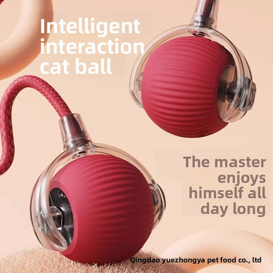 Electric Dog Teasing Ball