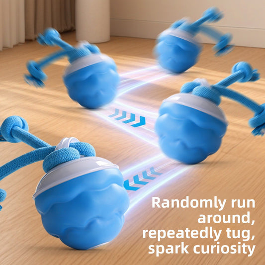 Electric dog toy ball