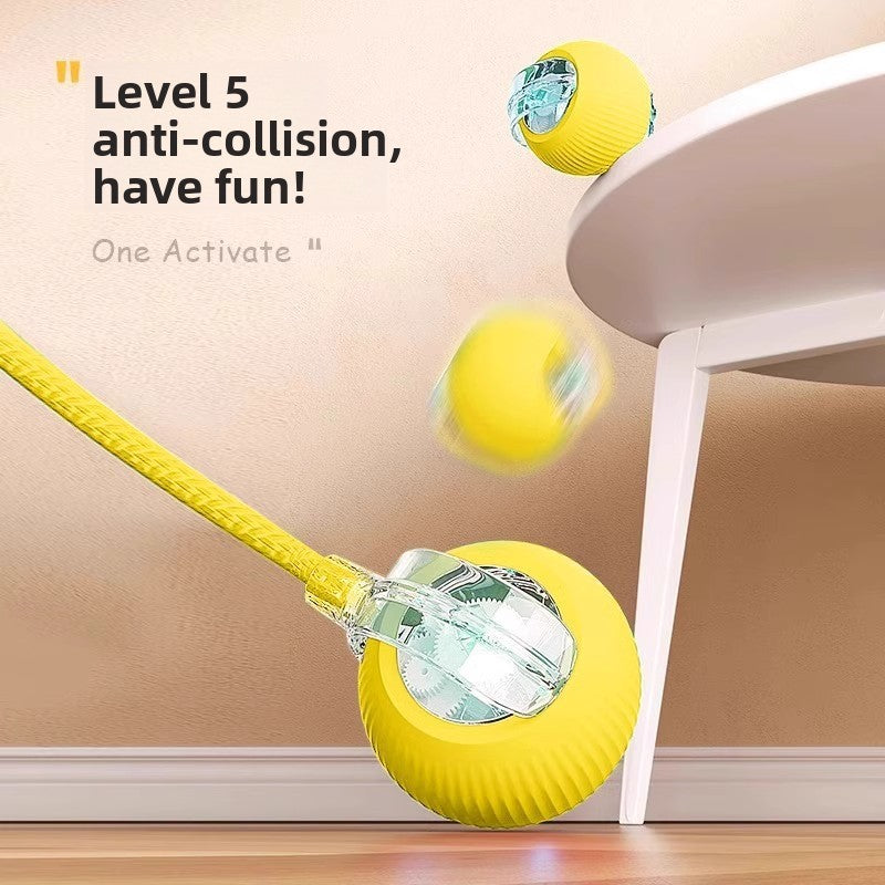 Electric Dog Toy