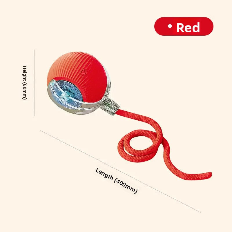 Electric Dog Toy