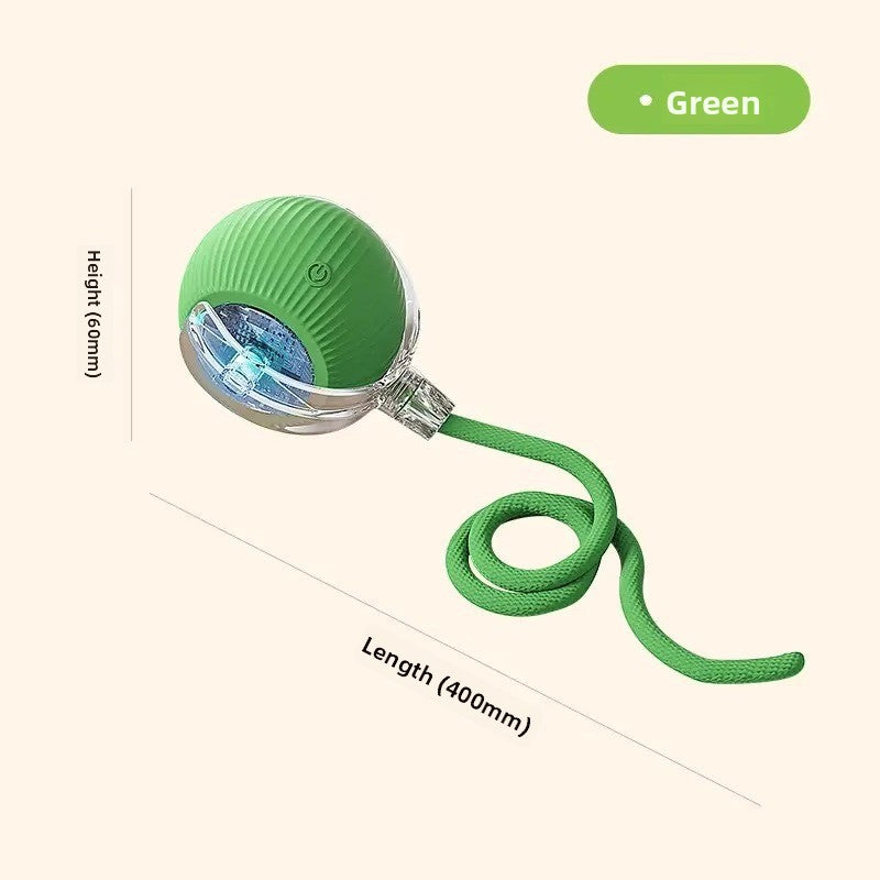 Electric Dog Toy