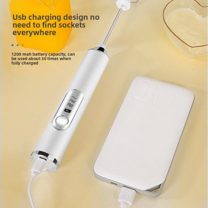 Electric egg beater