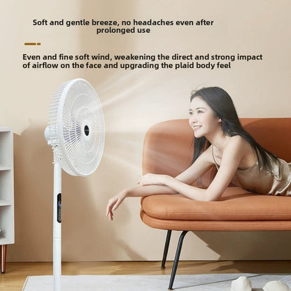 electric fan