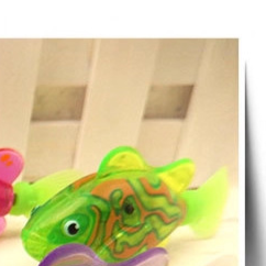 Electric fish bathing toy