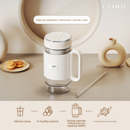 Electric fruit juicer