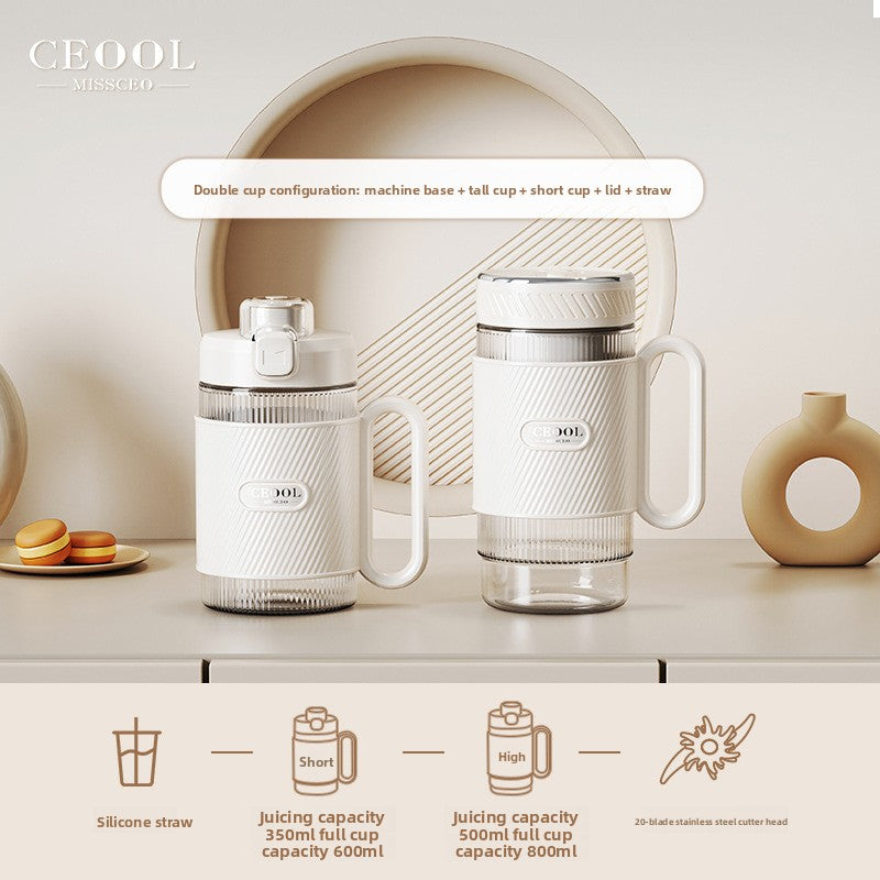 Electric fruit juicer