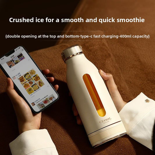 Electric fruit juicer