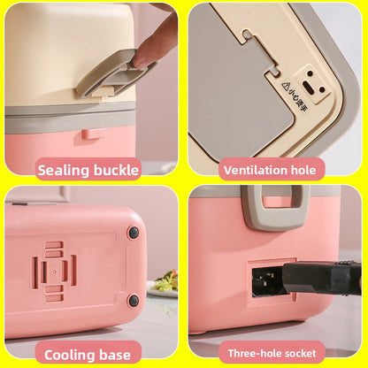 Electric heated bento box