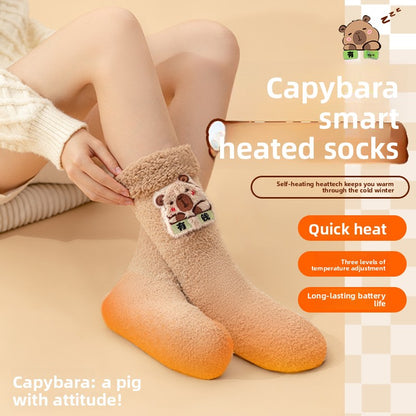 Electric Heating Socks