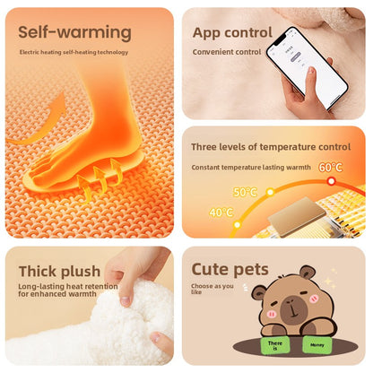 Electric Heating Socks