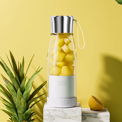 Electric Juicer Blender