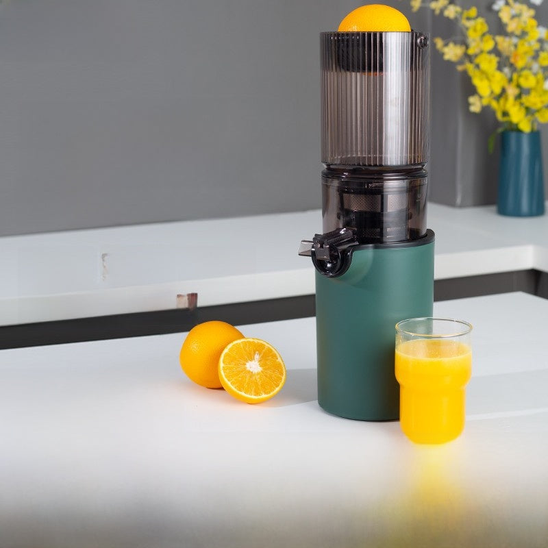 Electric juicer