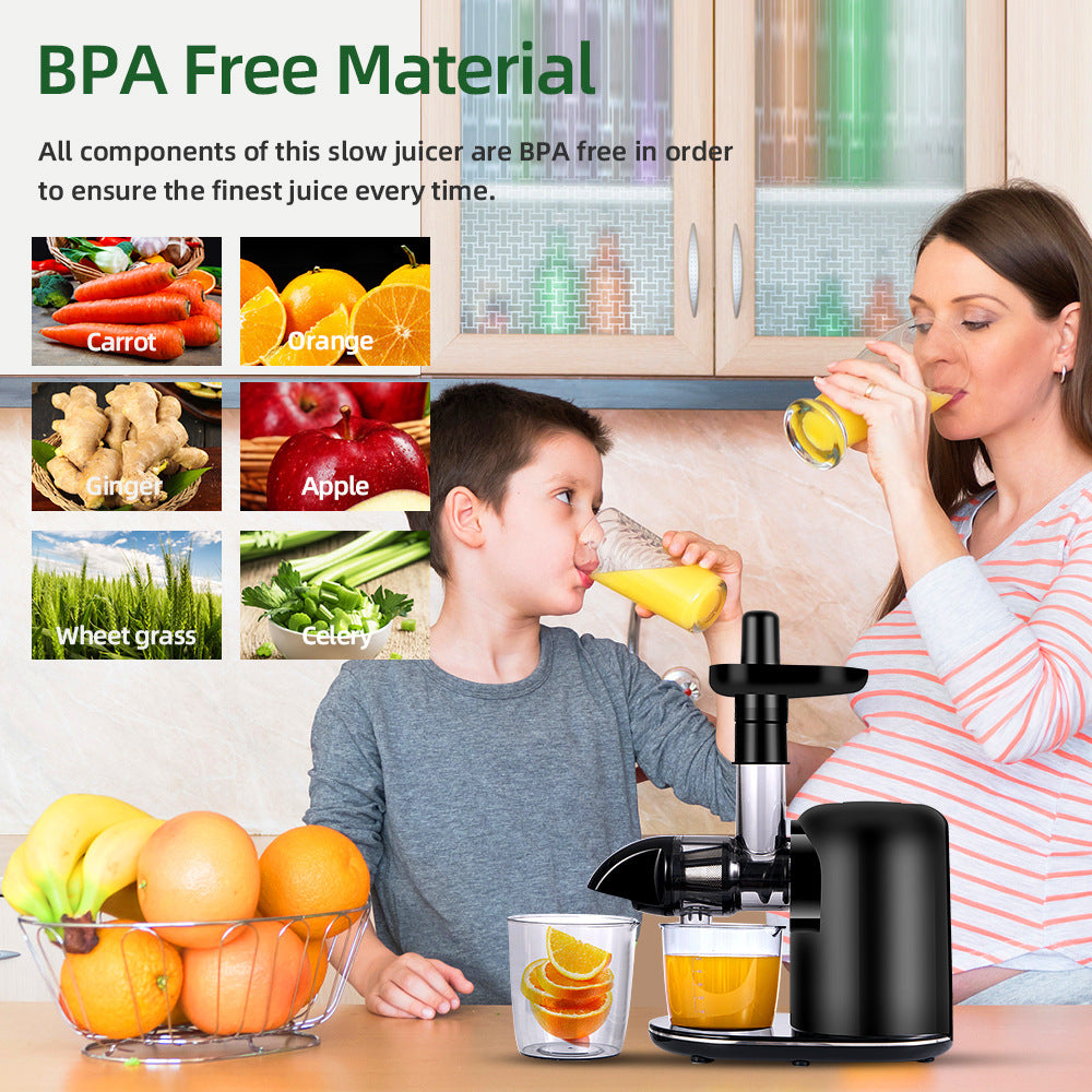 Electric Juicer