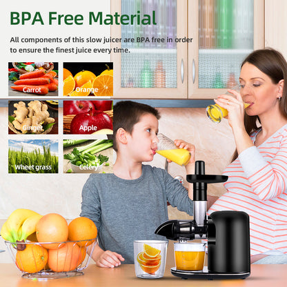 Electric Juicer